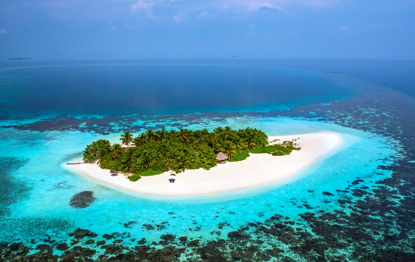 Travel Trade Maldives - W Hotels and Cercle to Host Livestreamed ...