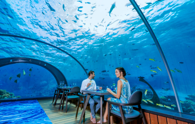 Dining Beneath the Waves: The Maldives’ Stunning Underwater Restaurants